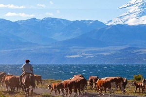 Voyage solidaire au Parc national de Tierra del Fuego