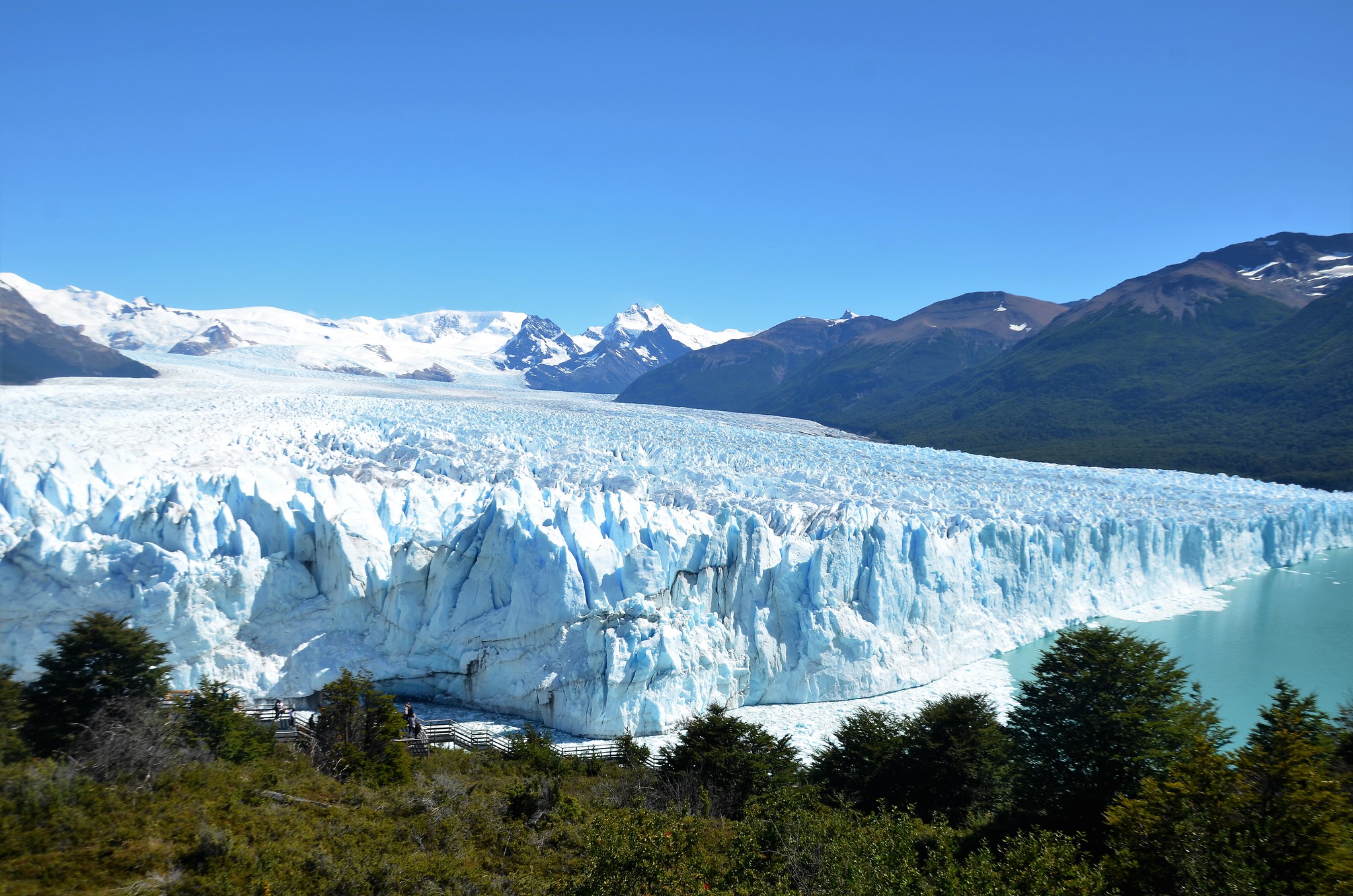 Glacier de Patagonie