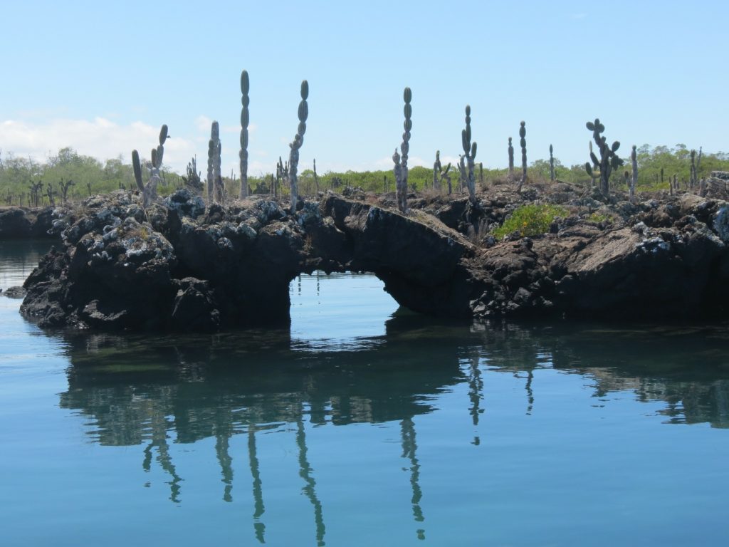 Tunnel de lave aux Galapagos