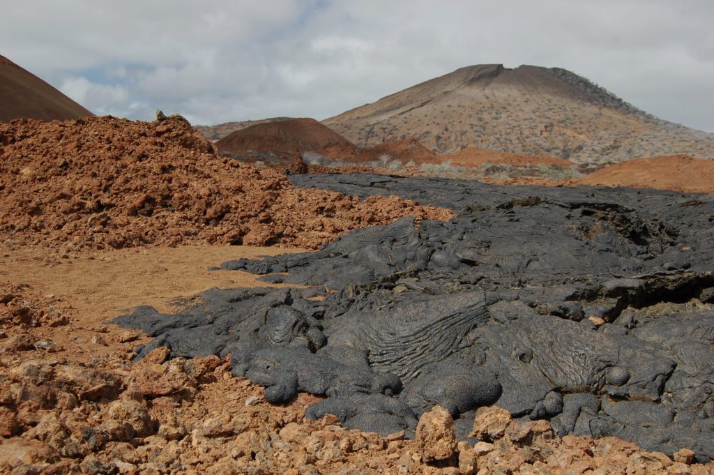 Cones de lave noirs et bruns aux îles Galapagos