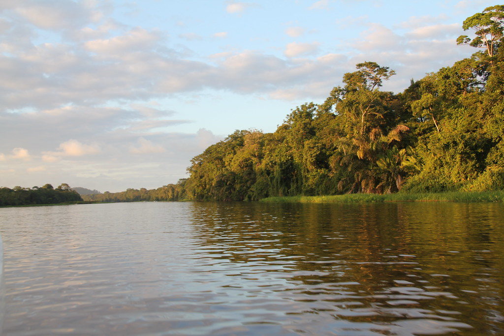 Un des nombreux canaux permettant d'admirer les mangroves du Parc National de Tortuguero où il est possible de voir et de contempler l'écostystème riche du Costa Rica. Que voir au Costa Rica ?