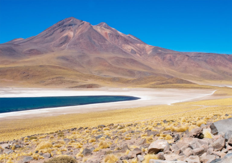 Voyage Dans Le Désert D'Atacama : Les Sites à Visiter Absolument