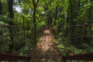 Monteverde pont suspendu