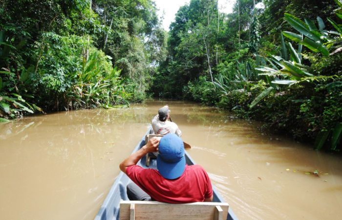 Circuit forêt amazonienne en Bolivie