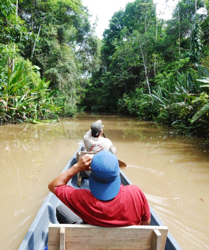 Circuit forêt amazonienne en Bolivie