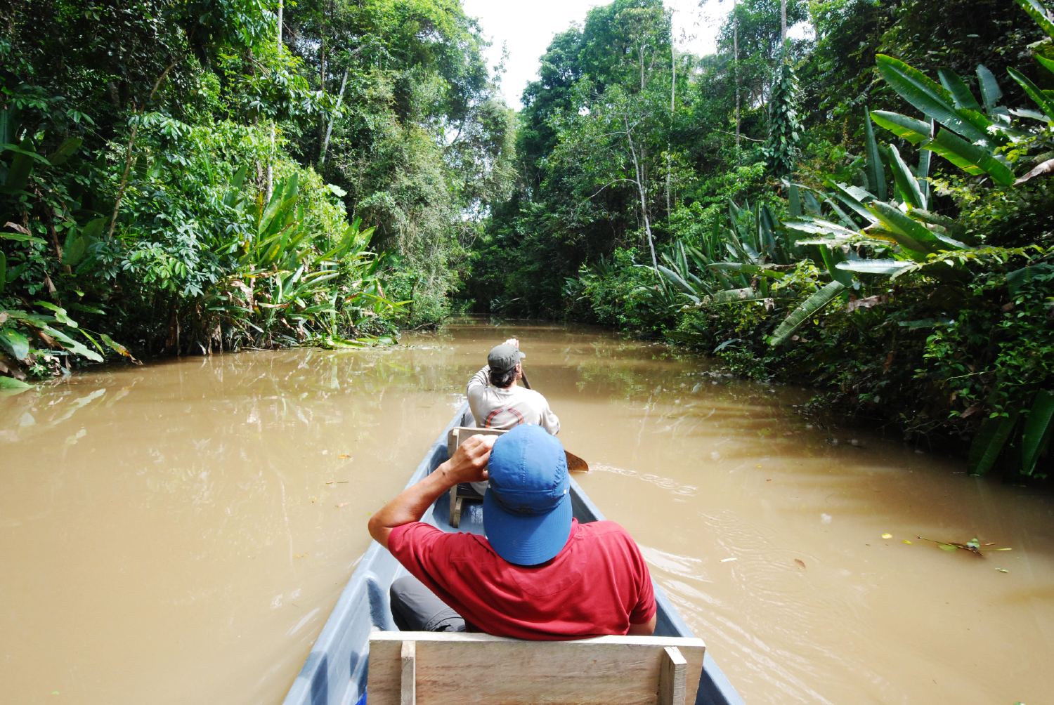 Circuit forêt amazonienne en Bolivie