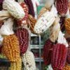 Maïs Pérou marché lima