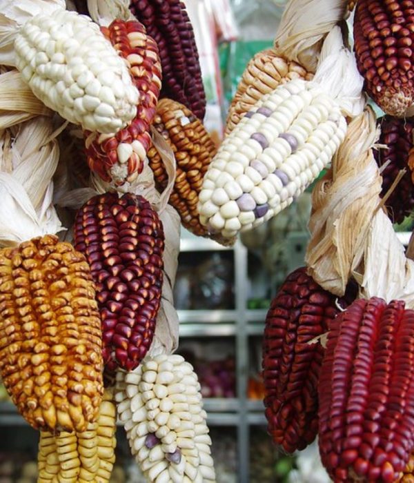 Maïs Pérou marché lima